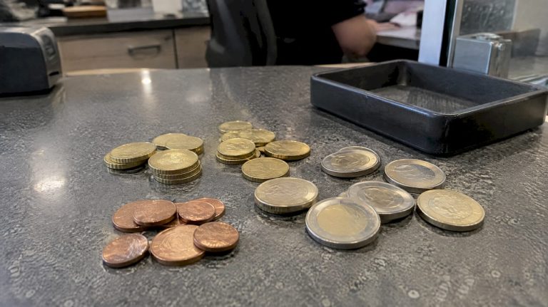 Į kasą priimamos skirtingų nominalų euro monetos